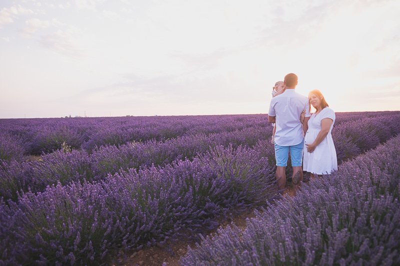 Provence lavender fields family session 3379