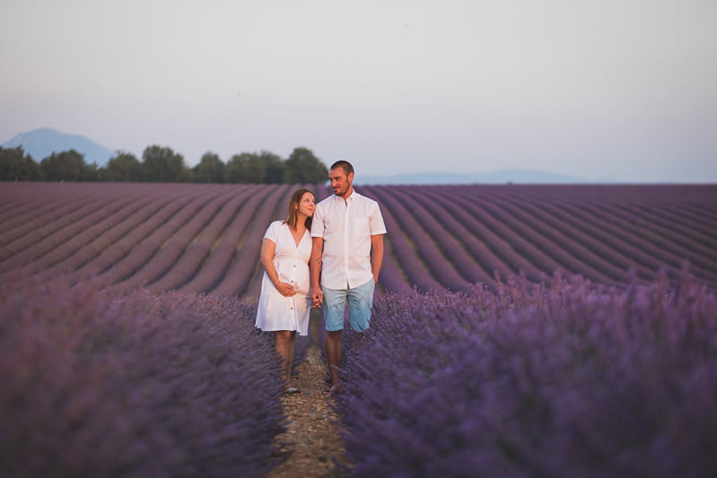 Provence lavender fields family session 9579