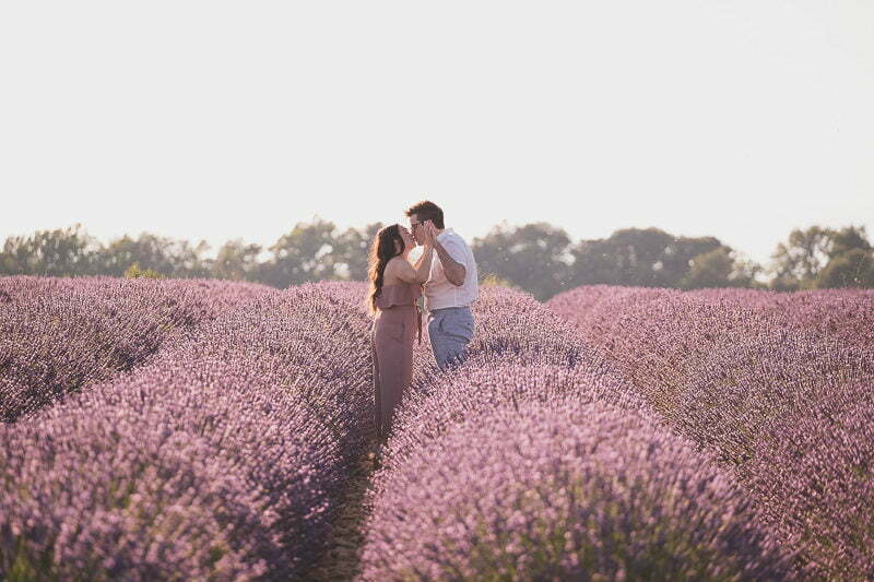 Lavender Wedding porposal Valensole Provence 1002