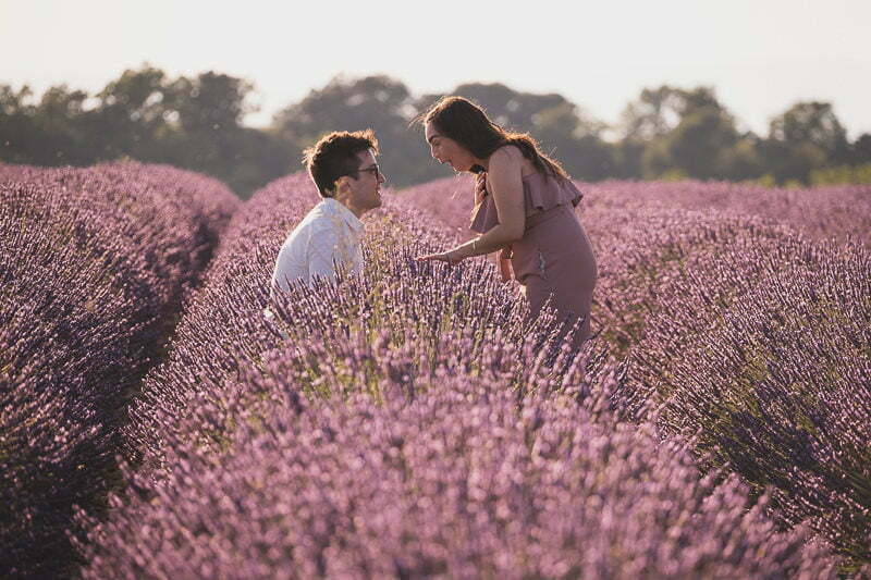 Lavender Wedding porposal Valensole Provence 1008