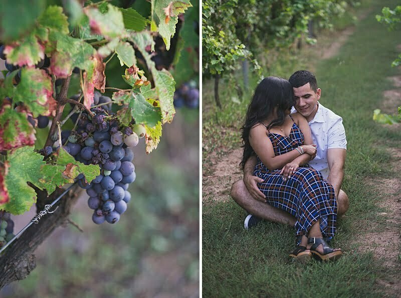 Vineyard Engagement session French Riviera 1139