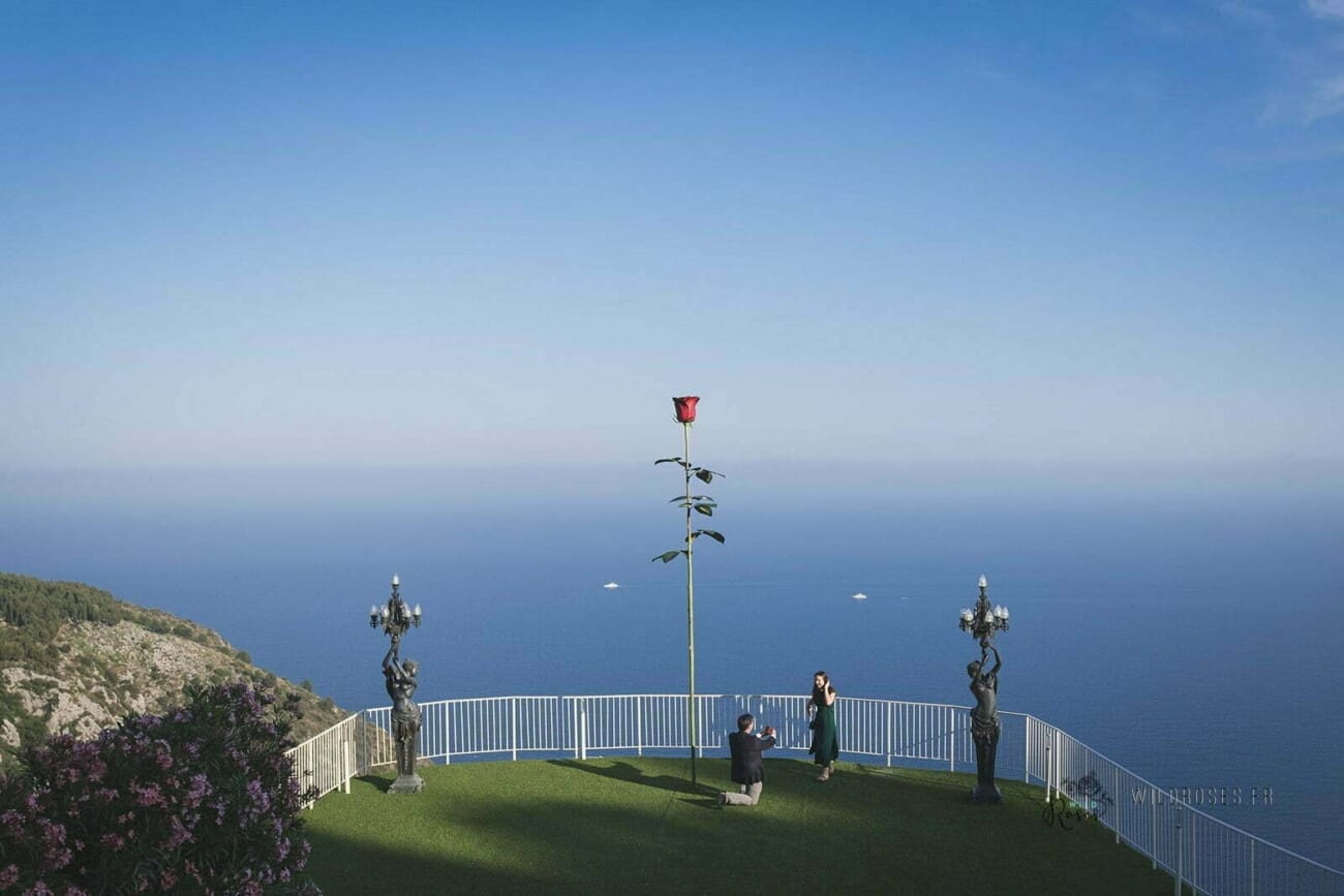 Chevre dOr Rose Garden Proposal 2