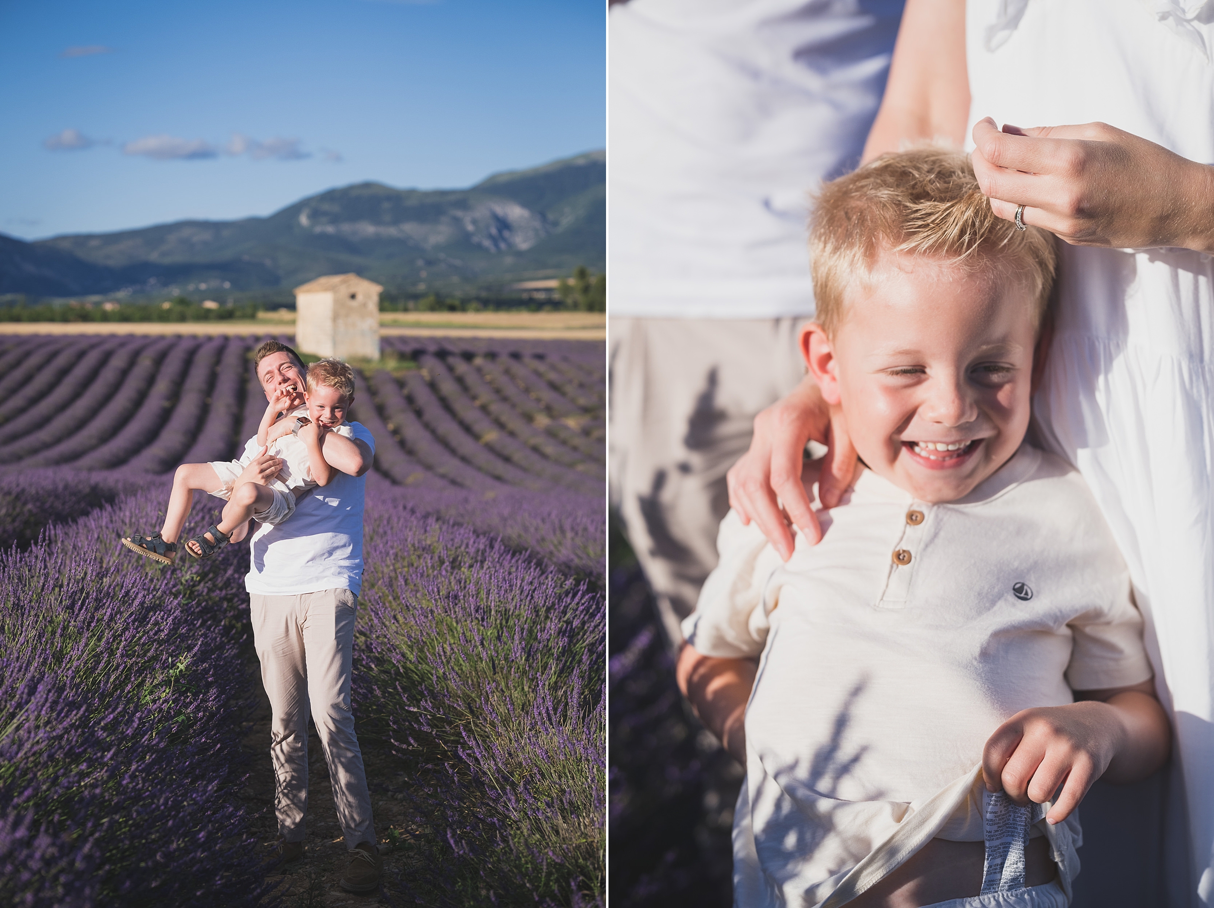 Family lavender photo session Valensole 143171