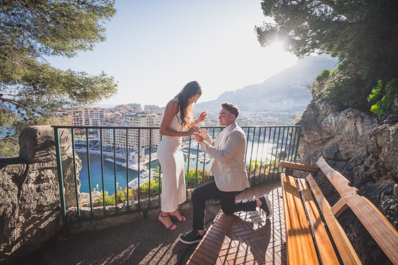 Monaco Garden proposal overlooking the harbor