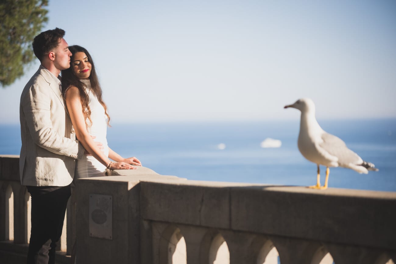 Monaco Garden proposal overlooking the harbor