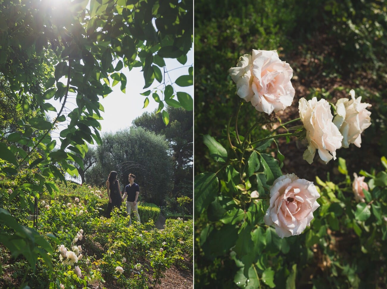 Intimate Morning Proposal at Villa Ephrussi de Rothschild 19 Villa Ephrussi Proposal couple strolling rose garden